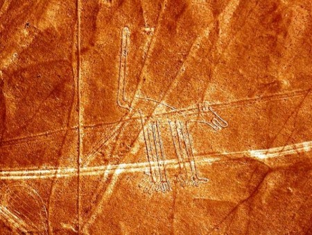 Pes - Nasca